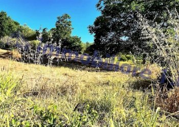Terreno - Villa strada Provinciale del Busecchio, Calatafimi-Segesta - foto 30