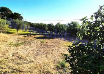 Terreno - Villa strada Provinciale del Busecchio, Calatafimi-Segesta - foto 31
