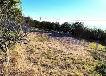 Terreno - Villa strada Provinciale del Busecchio, Calatafimi-Segesta - foto 32