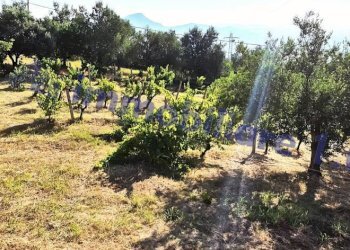 Terreno - Villa strada Provinciale del Busecchio, Calatafimi-Segesta - foto 33