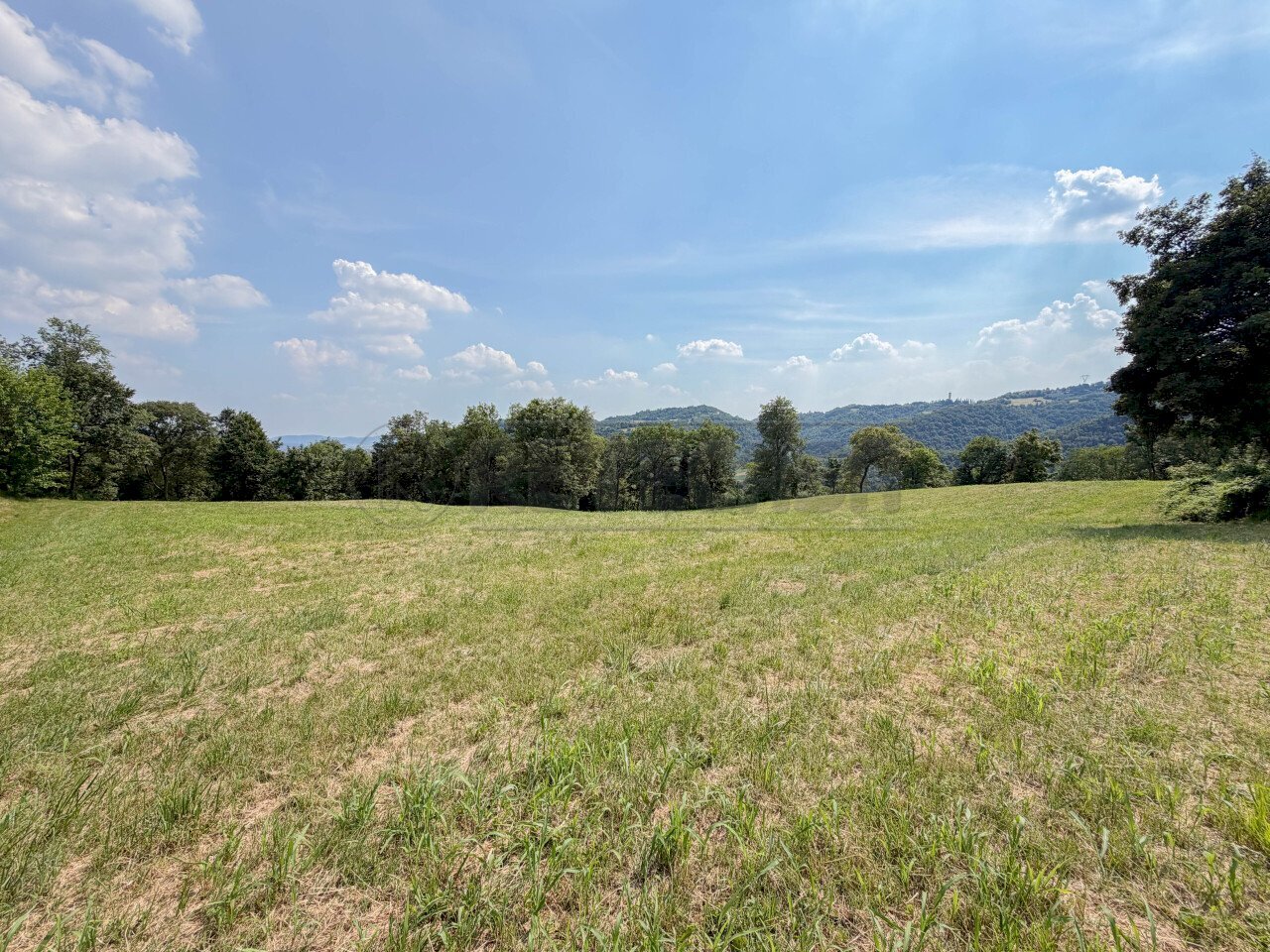 terreno - Terreno agricolo Via Castegnini di Sopra, Sovizzo - foto 1