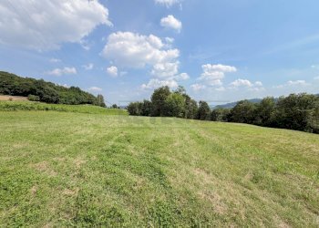 terreno - Terreno agricolo Via Castegnini di Sopra, Sovizzo - foto 2