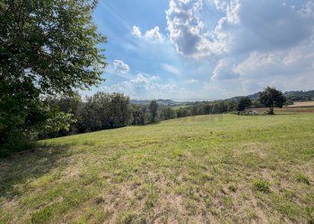 terreno - Terreno agricolo Via Castegnini di Sopra, Sovizzo - foto 6