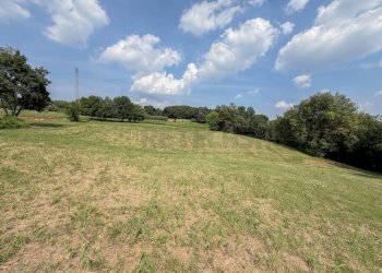 terreno - Terreno agricolo Via Castegnini di Sopra, Sovizzo - foto 11