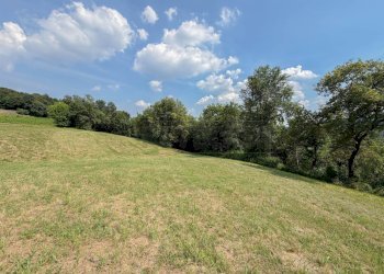 terreno - Terreno agricolo Via Castegnini di Sopra, Sovizzo - foto 12
