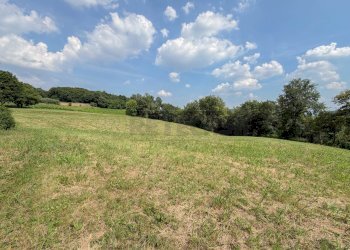 terreno - Terreno agricolo Via Castegnini di Sopra, Sovizzo - foto 13