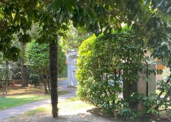 giardino condominiale - Four-room apartment Viale Mazzini, Vicenza - photo 19
