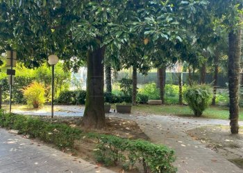 giardino condom - Four-room apartment Viale Mazzini, Vicenza - photo 20