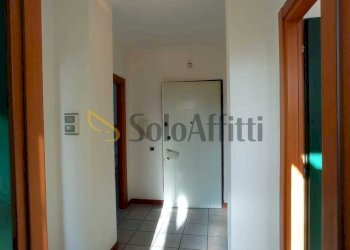 Disimpegno - Trilocale Gallarate - foto 7