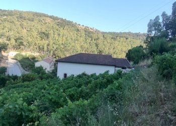 IMG20260622182311 - Villa Via San Sebastiano 11, Palizzi - foto 10
