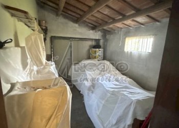 IMG_3744 - Rustic Via Cuoro 150, Stanghella - photo 18