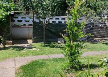 Screenshot 2026-06-27 103415 - Semi-detached house Via Dogana 23, Luni - photo 20