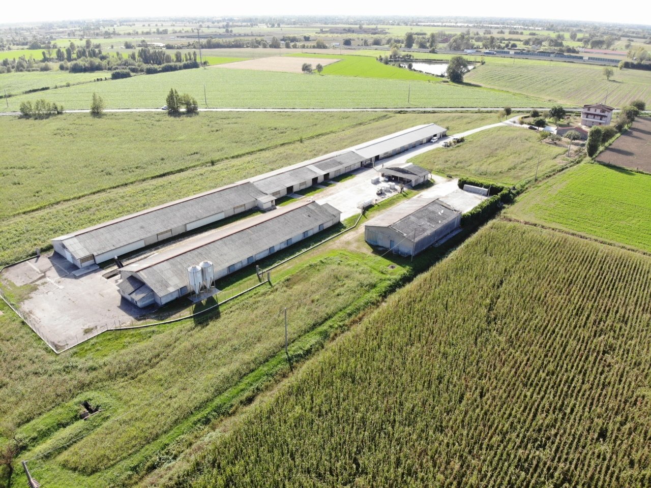 DJI_0848.JPG - Azienda agricola VIA ISONZO, Leno - foto 3