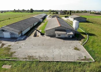 DJI_0854.JPG - Azienda agricola VIA ISONZO, Leno - foto 5