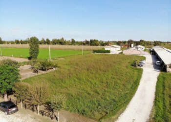 DJI_0860.JPG - Azienda agricola VIA ISONZO, Leno - foto 6