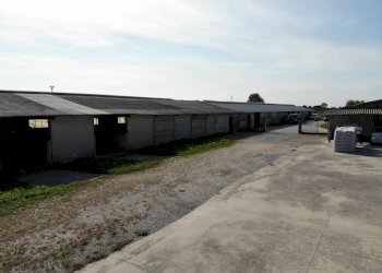 DJI_0870.JPG - Azienda agricola VIA ISONZO, Leno - foto 9