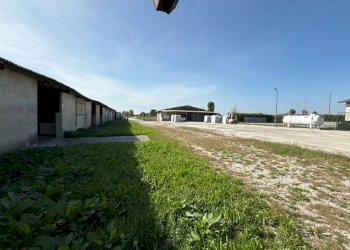 DJI_20250917_160538_589.JPG - Azienda agricola VIA ISONZO, Leno - foto 15
