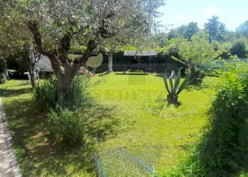726-nt-villa-macelli-608cc - Villa Via Tonfano 71, Pietrasanta - foto 6
