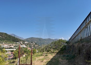 DJI_20260626162031_0006_D - Agricultural land Corso Limone Piemonte, Ventimiglia - photo 5