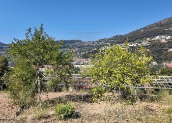 DJI_20260626162102_0007_D - Agricultural land Corso Limone Piemonte, Ventimiglia - photo 6