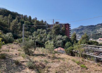 DJI_20260626162121_0009_D - Agricultural land Corso Limone Piemonte, Ventimiglia - photo 8