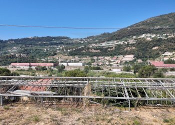 DJI_20260626162126_0010_D - Agricultural land Corso Limone Piemonte, Ventimiglia - photo 9