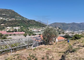 DJI_20260626162130_0011_D - Agricultural land Corso Limone Piemonte, Ventimiglia - photo 10