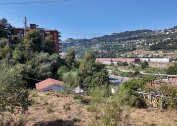 DJI_20260626162147_0012_D - Agricultural land Corso Limone Piemonte, Ventimiglia - photo 11