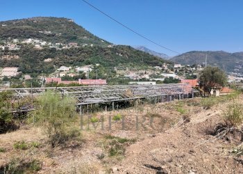 DJI_20260626162310_0013_D - Agricultural land Corso Limone Piemonte, Ventimiglia - photo 12