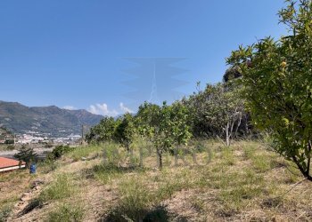 DJI_20260626162335_0015_D - Agricultural land Corso Limone Piemonte, Ventimiglia - photo 14