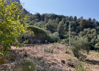 DJI_20260626162344_0016_D - Agricultural land Corso Limone Piemonte, Ventimiglia - photo 15