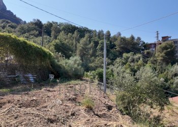 DJI_20260626162413_0017_D - Agricultural land Corso Limone Piemonte, Ventimiglia - photo 16