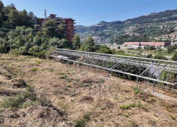 DJI_20260626162445_0019_D - Agricultural land Corso Limone Piemonte, Ventimiglia - photo 18