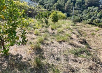DJI_20260626162457_0022_D - Agricultural land Corso Limone Piemonte, Ventimiglia - photo 21