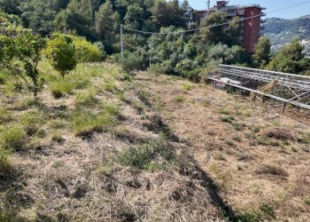 DJI_20260626162459_0023_D - Agricultural land Corso Limone Piemonte, Ventimiglia - photo 22