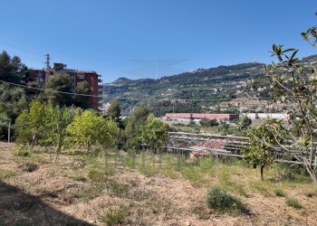 DJI_20260626162542_0025_D - Agricultural land Corso Limone Piemonte, Ventimiglia - photo 24