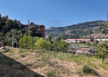 DJI_20260626162545_0026_D - Agricultural land Corso Limone Piemonte, Ventimiglia - photo 25