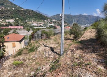 DJI_20260626162633_0029_D - Agricultural land Corso Limone Piemonte, Ventimiglia - photo 28