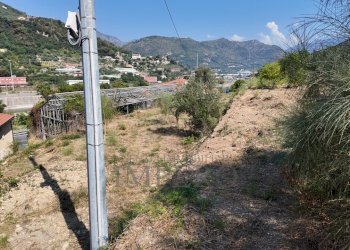 DJI_20260626162701_0030_D - Agricultural land Corso Limone Piemonte, Ventimiglia - photo 29