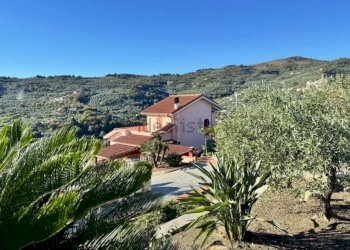 747250917 - Independent house Strada Colla, Imperia - photo 29