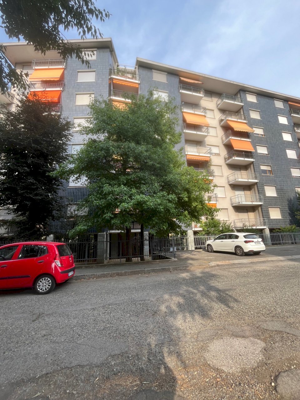 IMG_9849 - Appartamento Via Severino Doppi 29, Grugliasco - foto 2