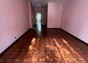 IMG_9832 - Appartamento Via Severino Doppi 29, Grugliasco - foto 8