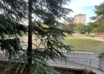 IMG_9839 - Appartamento Via Severino Doppi 29, Grugliasco - foto 22