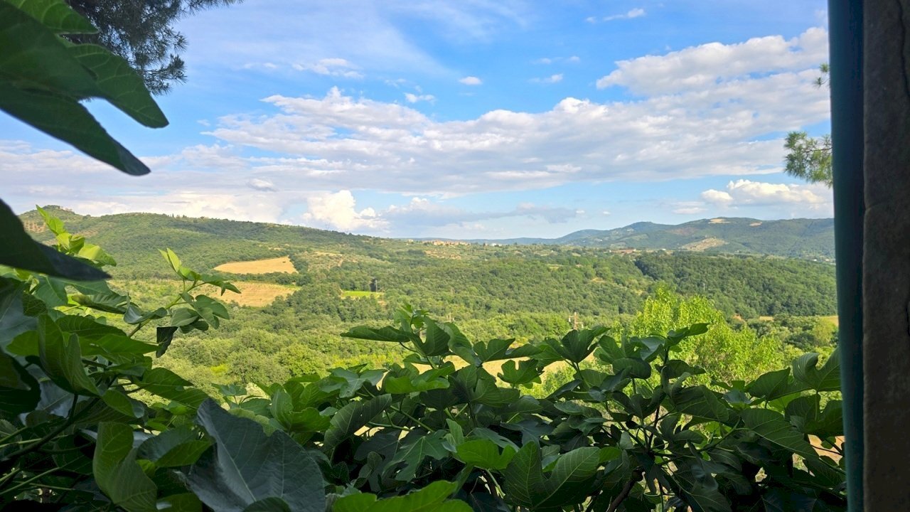 VISTA VIEW (3) - Casale Via del Boschetto 1, Panicale - photo 3