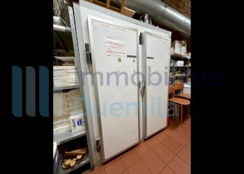 15 - Bar Tavola Calda - Fredda Bologna (zona Centro Storico) - foto 15