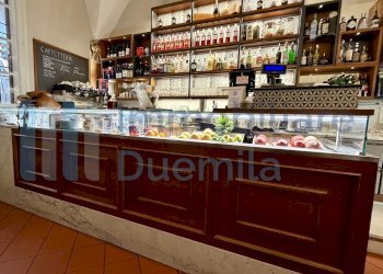 21 - Bar Tavola Calda - Fredda Bologna (zona Centro Storico) - foto 21