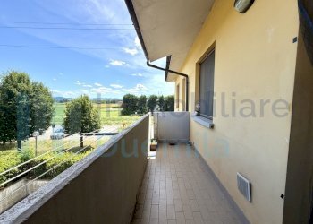 IMG_2700 - Appartamento Anzola dell'Emilia - foto 12