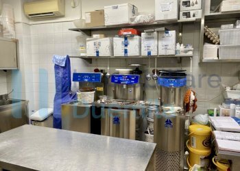 21 - Cafeteria - Cold Bar Bologna - photo 21