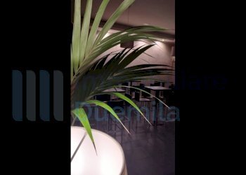 IMMAGINE04-ink.jpeg - Cafeteria - Cold Bar Bologna (neighborhood Centro Storico) - photo 4