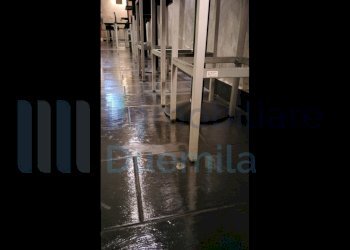 IMMAGINE06-ink.jpeg - Cafeteria - Cold Bar Bologna (neighborhood Centro Storico) - photo 6